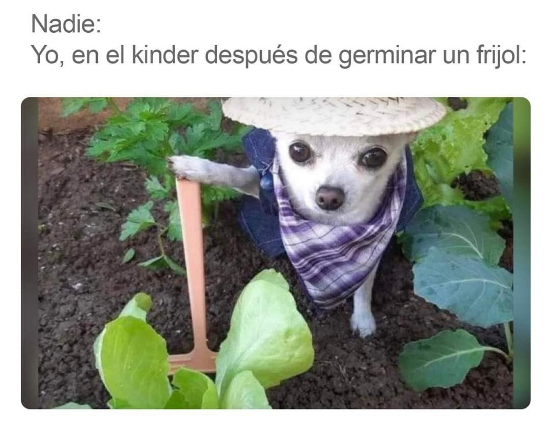 El BlowShow (@elblowshow) on Twitter photo 