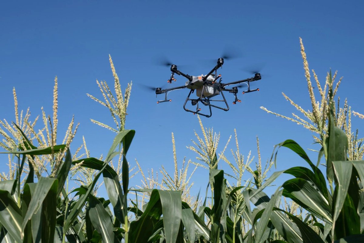 ProAgND's tweet image. Get on our list for corn fungicide spraying! Save time and product by targeting your spraying with our T30 Drone. Message me to get on the schedule! Pro Ag Solutions is a Contractor of Rantizo.