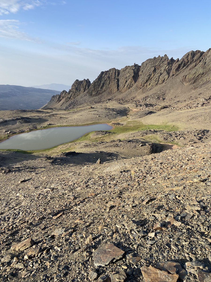 David Santos tweet media