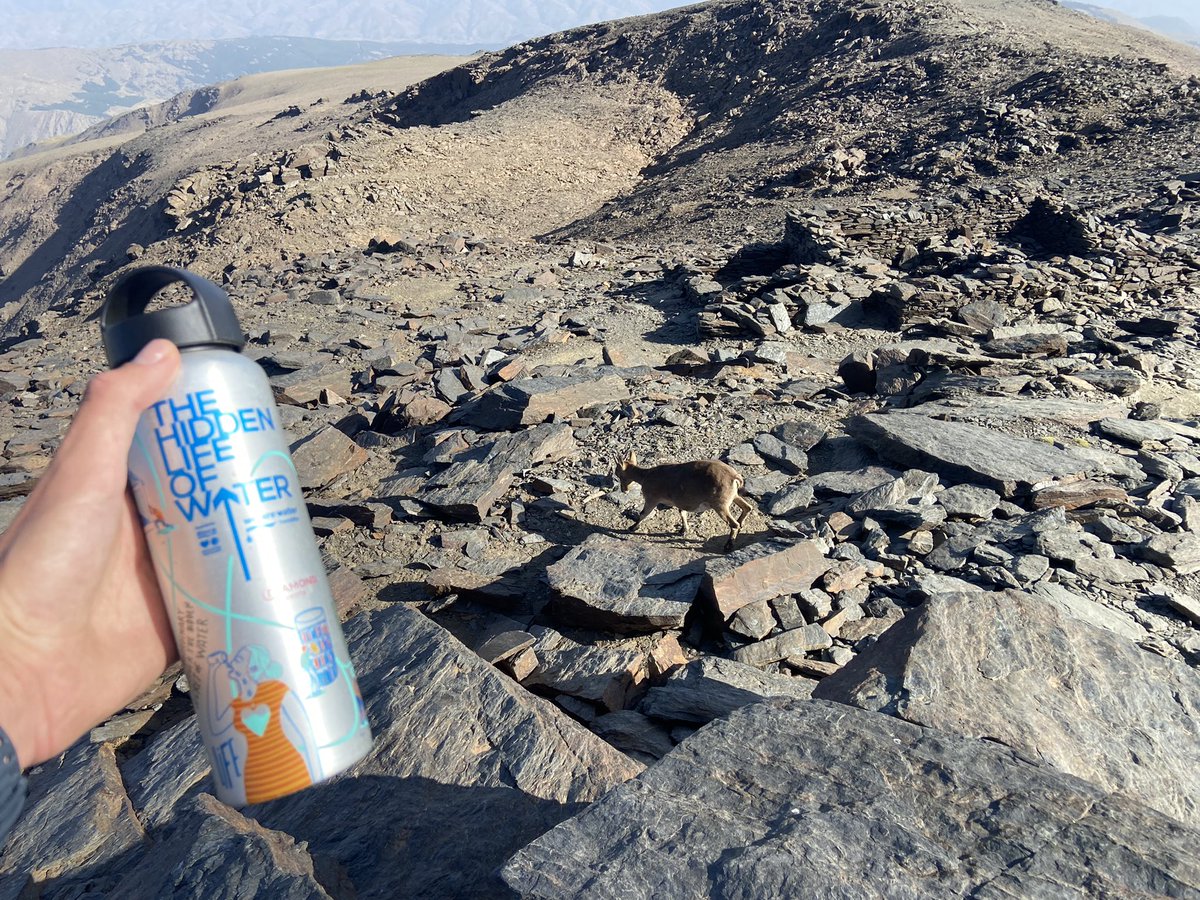 David Santos tweet media