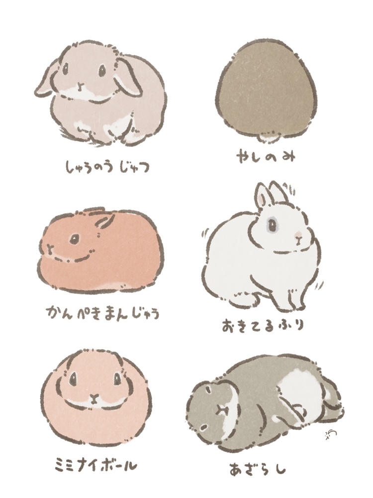 🐰寝そうさぎ 