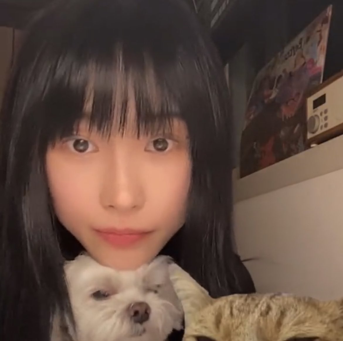 bingmingming's tweet image. 