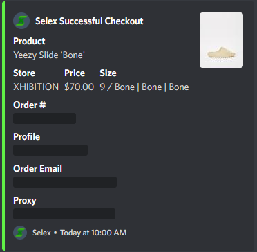 Success from TurtleFlip