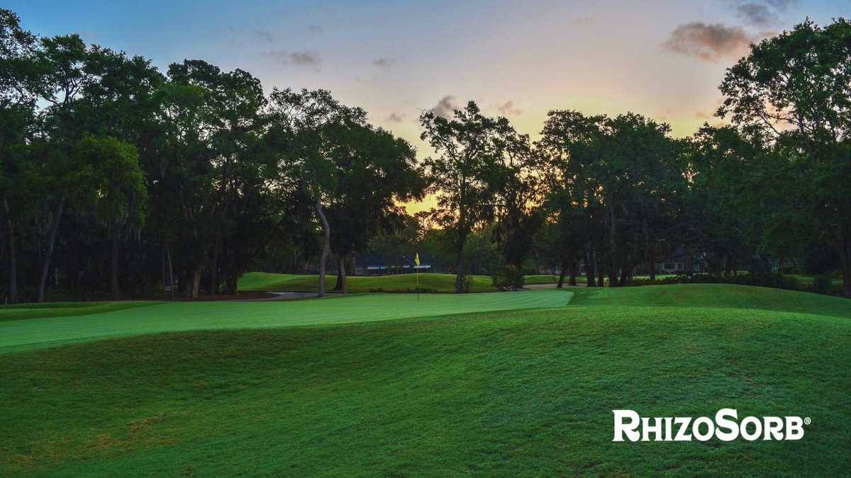 RhizoSorb's tweet photo. Do you plan to renovate this year? With RhizoSorb®, you can ensure faster establishment of your turf with enhanced nutrient delivery. 
 
Learn More at https://t.co/l98rjLiF33 https://t.co/poeUofBBFb