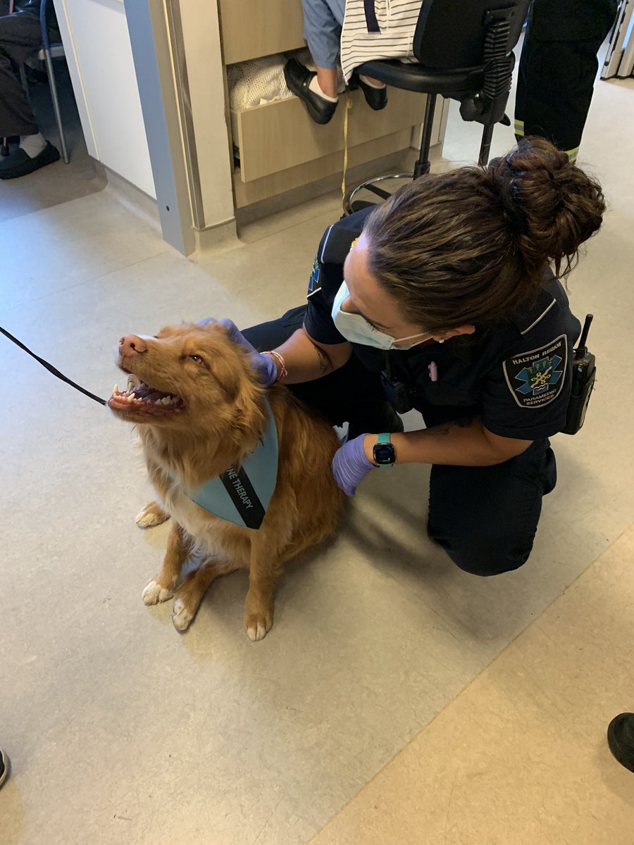 Therapy dogs are the best dogs. Always lifting the mood wherever they go. Can make the busiest, most stressful days much better! <a href="/HaltonMedics207/">Halton Paramedic Union (OPSEU Local 207)</a>