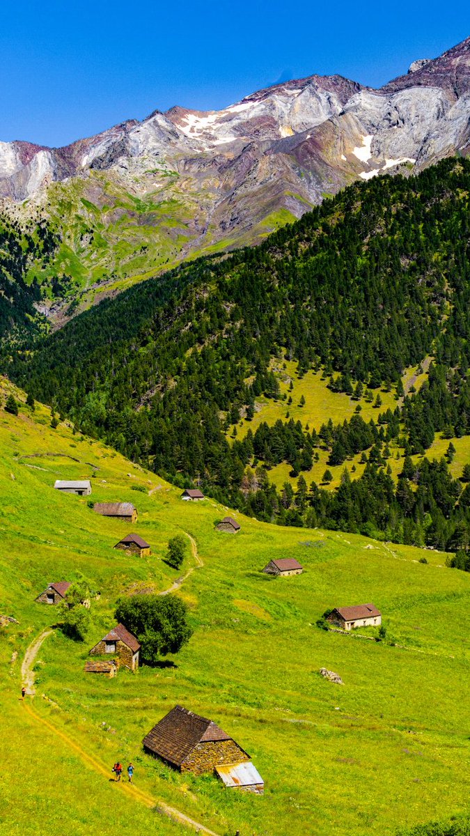 ¿Te imaginas estar aquí?... Sentir el aroma de la pradera, a tierra mojada; sentir la brisa en tu rostro, el fresco de la alta montaña, el sonido del ganado,... esto es #Biados 🙌🌲