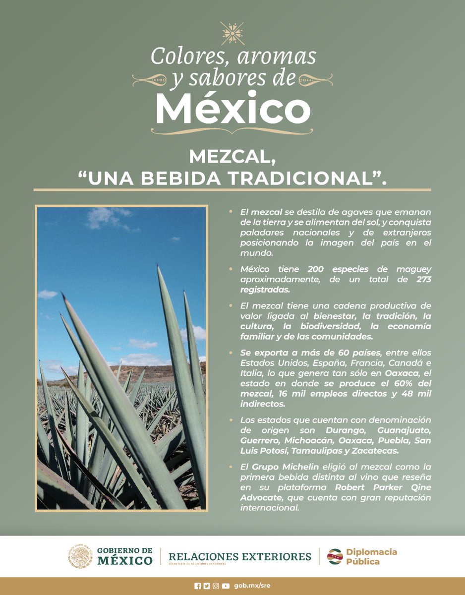 DiplomaciaPubl tweet picture