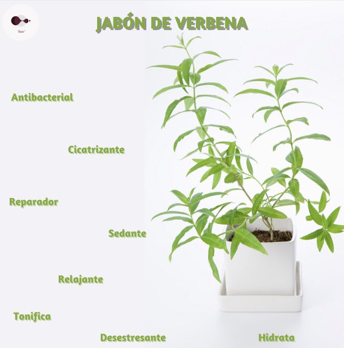 ywuanna's tweet photo. #jabonesthea #theamagicshop #jabones #jabonesartesanales #jabonesnaturales #jabonespararegalar #jabonesparatodaocasion #jabonesparatodotipodepiel #jabonesparatodalafamilia #jabonesparaspa #jabonesparahoteles #jabonesparahotelesyposadas #regalajabones  #jabondeverbena https://t.co/1We9pAe478