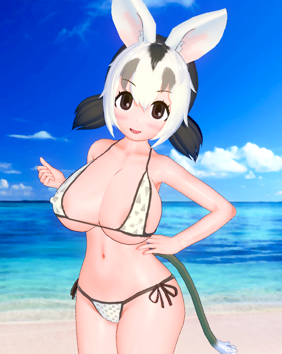 シロミミオポッサムの他の服装も作りました。 左上から制服、体育服、水着、サークル服です。 サークル服は一応バニーガールで着せているのですが、違う形に変わることも。 