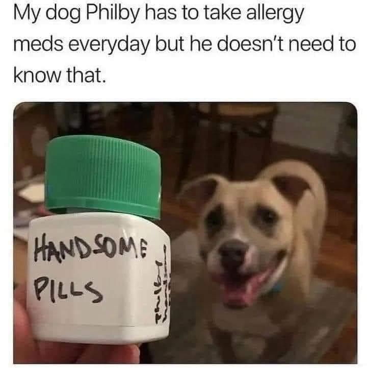 WholesomeMemes tweet media