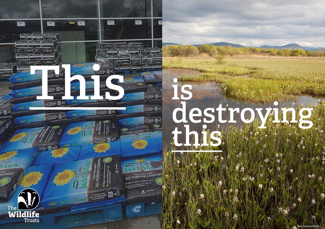 Today, just one day after celebrating the wonders of peat on International #BogDay, we’re frustrated that the UK Government has still not shared its plans for a ban on the sale of bagged peat compost. (1/4)