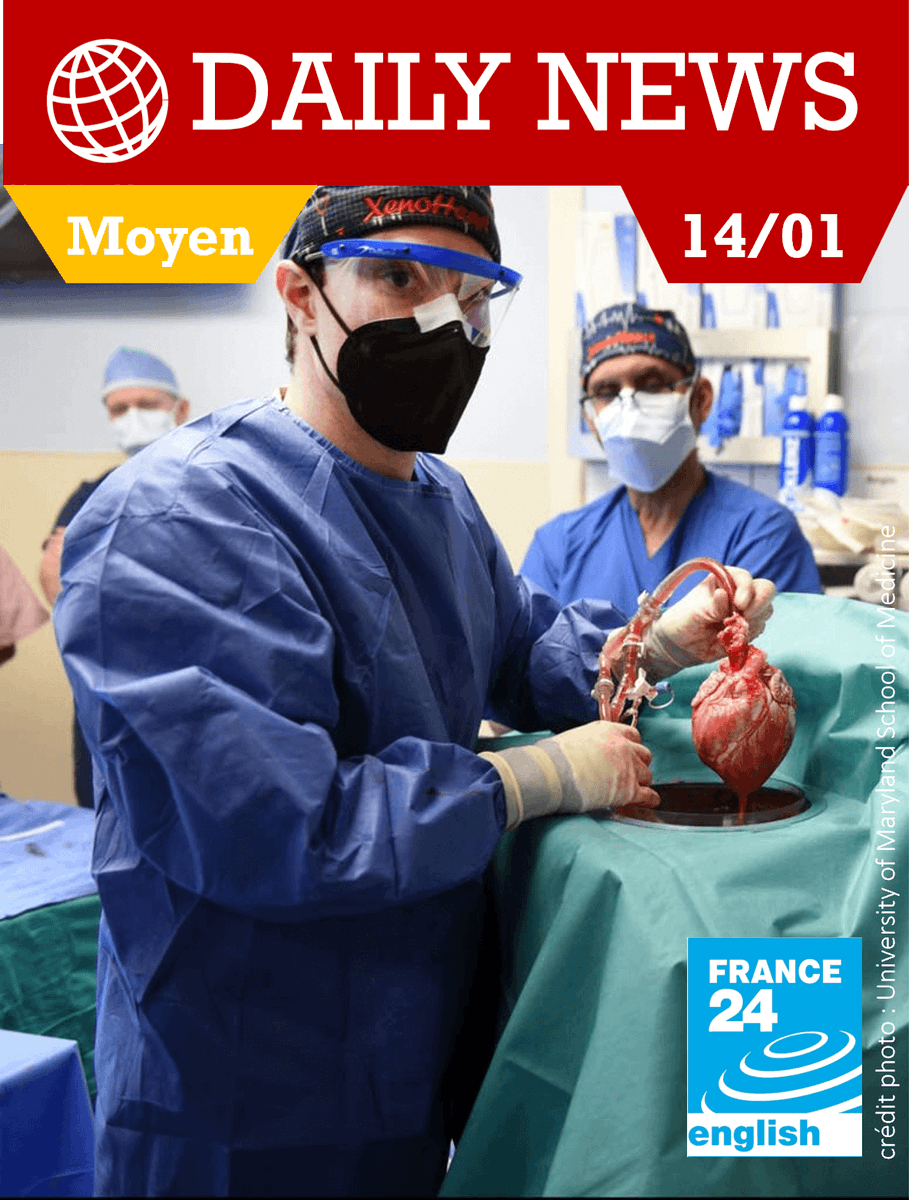 « Cycle terminal - Axe 6 : Innovations scientifiques et responsabilité »

Proposez à vos élèves des courtes vidéos authentiques d’actualité en lien avec les programmes de l’Education nationale.

#education #classeinversée #continuitépédagogique #langues #anglais 🇬🇧