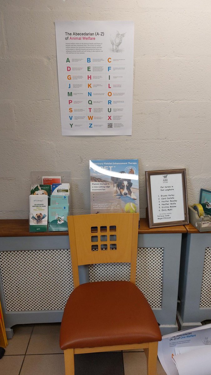 Professor Alison Hanlon tweet media