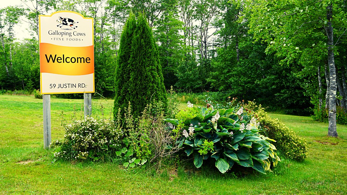 Come visit us! We're open Monday-Saturday 9-5pm, and Sunday 12-5pm. Our employees would be thrilled to give you a quick tour of our demonstration garden

Shop our products at Pete’s Frootique, Sobeys, Loblaws, independent retailers and online at gallopingcows.com