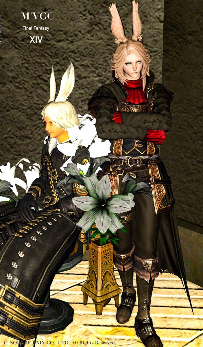 chihaya_ff14's tweet photo. LS活動で素敵なスタジオへ突撃
#mvgc
#FF14
#ヴィエラ https://t.co/TgMjl66nqF