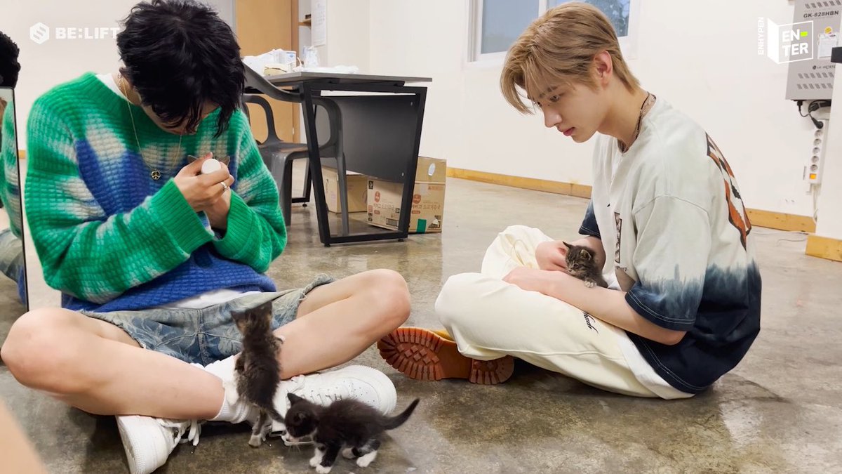 psunghoonlvr's tweet photo. cat parents. #heehoon short au 

sunghoon is known to be a dog person, (1) because he has a pet dog and (2) because he is allergic to cat fur. and yet, he is willing to take care of heeseung’s cats despite the circumstances. https://t.co/0uJzabpdrT