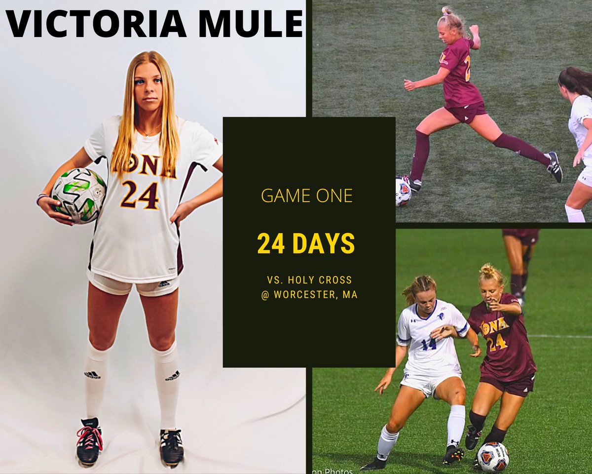 IonaWSOC's tweet photo. Closer and closer everyday ⏳

#IWS | #GaelNation https://t.co/gFe1JjqX2U