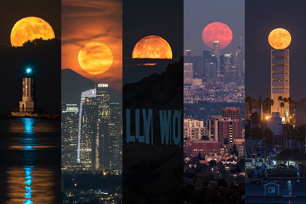 Brandon Yoshizawa tweet media