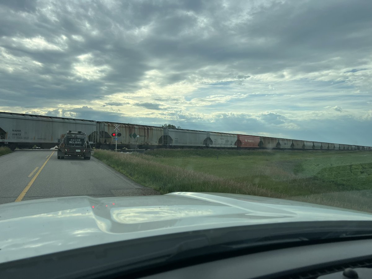 Kerry Heid tweet media