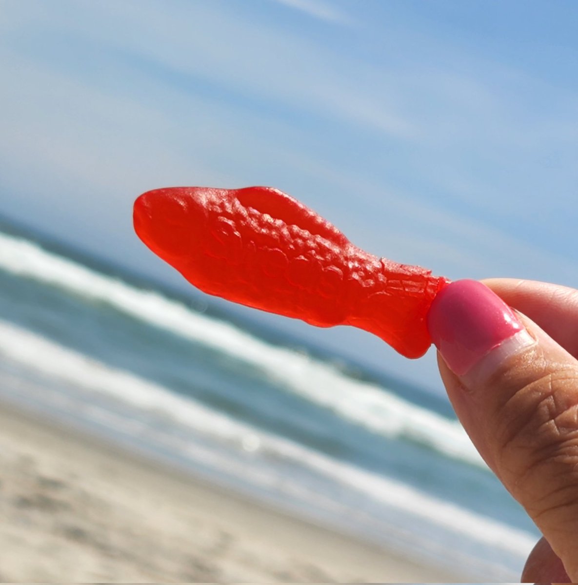 VickyInStLouis's tweet photo. @SwedishFish @SharkWeek Catch of the day! #FishWeek https://t.co/ASobfiGN07