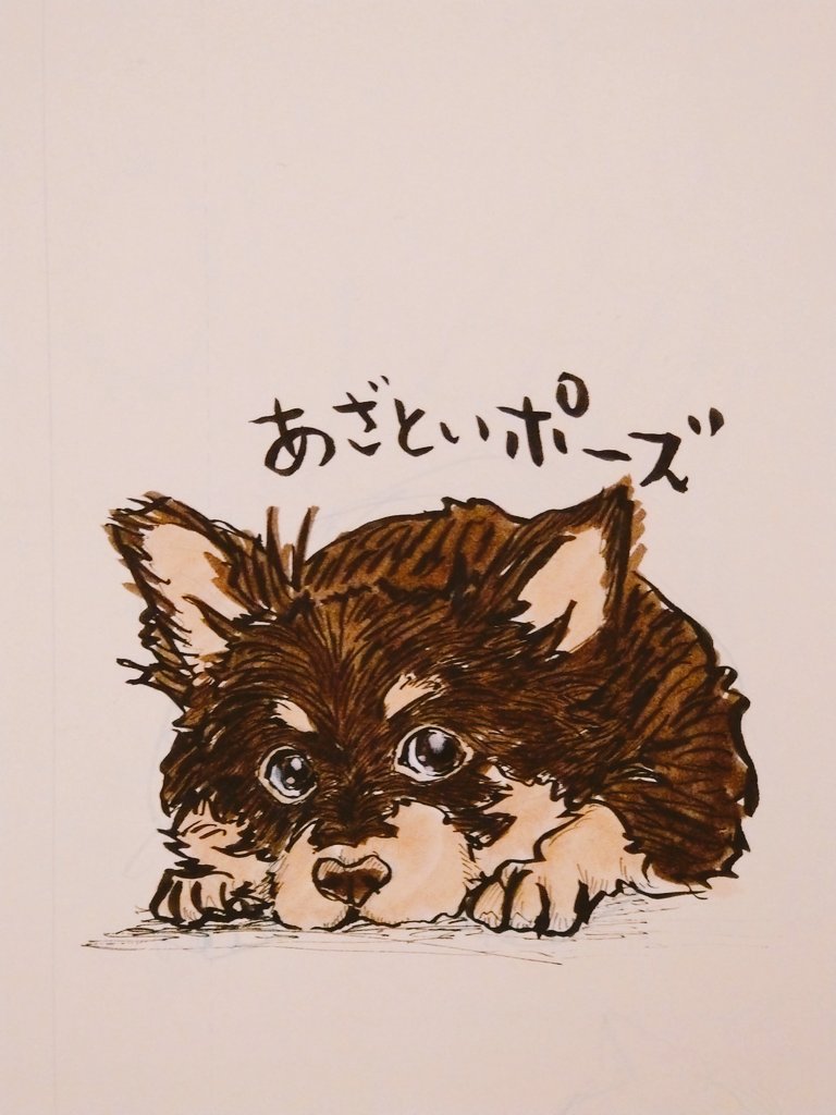 あざといポーズ Twitter Search Twitter あざといポーズ Twitter Search Twitter