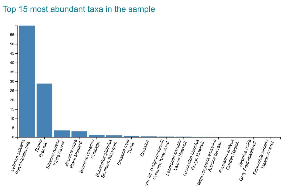 Spurtle_Comb's tweet photo. Purple-loosestrife is the most prevalent plant in the honey sample taken last summer from our #SomersetLevels apiary according to results published today by @CEH_Honey The dark, strong flavoured honey is delicious! https://t.co/ZCvpc8nXFi