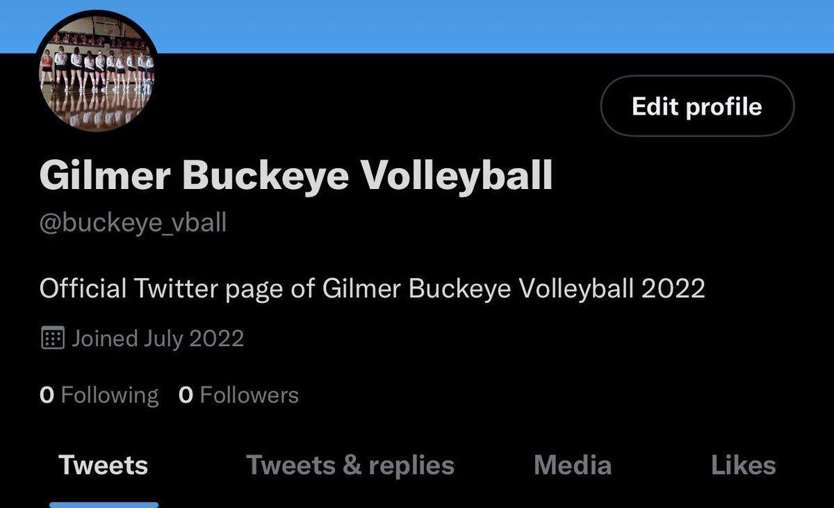 SoftballBuckeye's tweet photo. Go check out and follow our new volleyball page!! @buckeye_vball 🏐😎 https://t.co/3fDZwi70zP