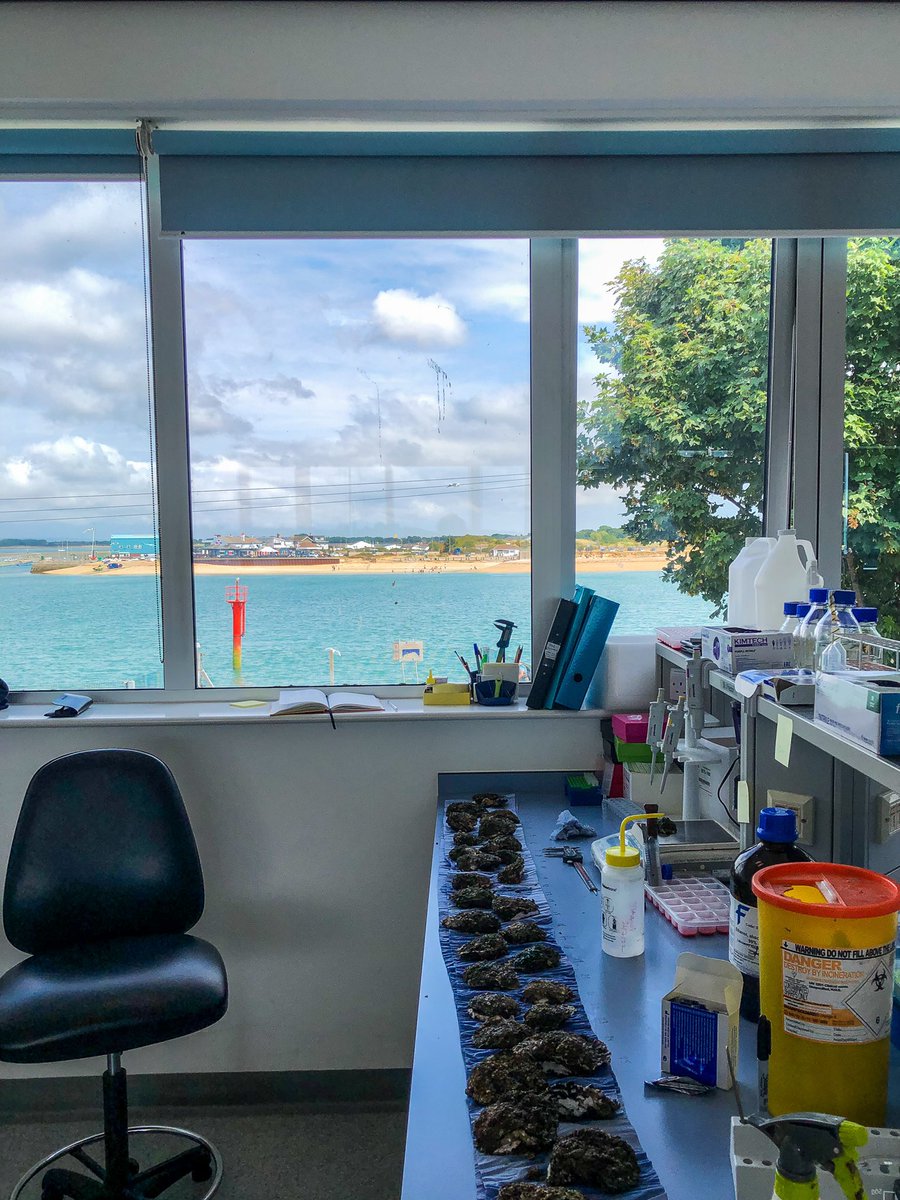 Lauren Cook tweet media