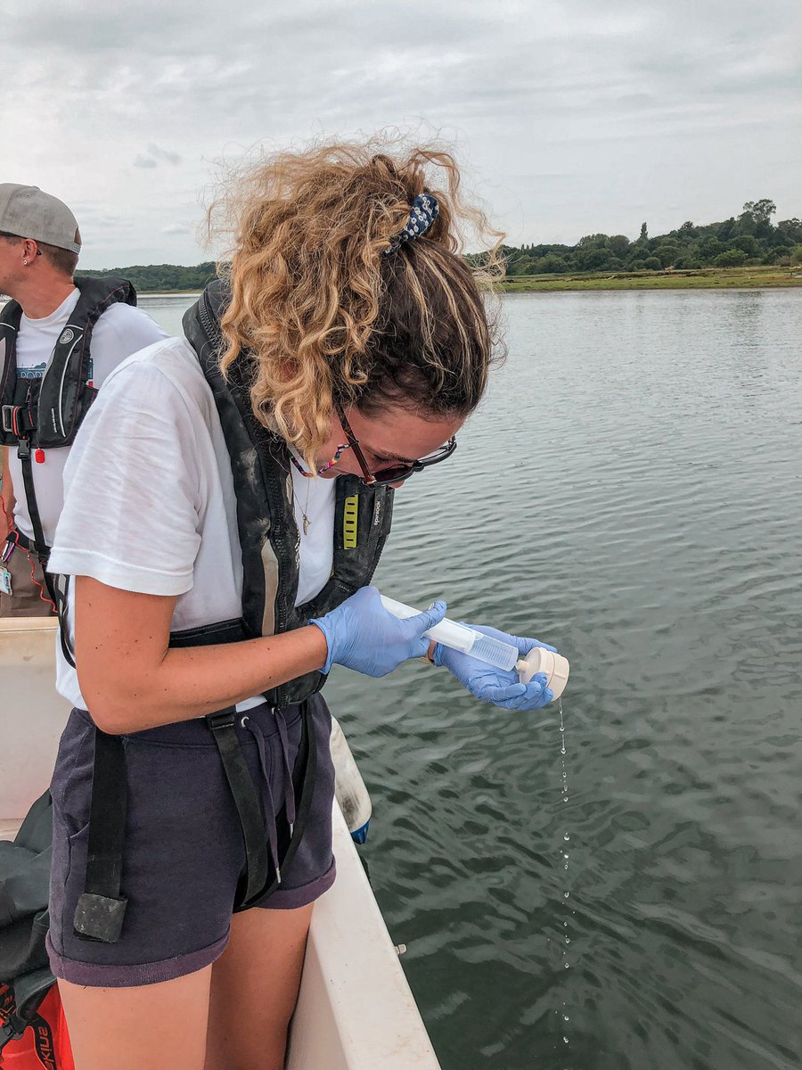 Lauren Cook tweet media