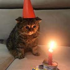 AcornDoggo13's tweet photo. happ birth to me, am old now :)) https://t.co/unHv07UwKD