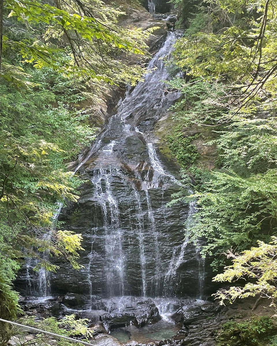 RunAttitude's tweet image. Closed out a fun week with the family with one more hike. This week went by way too fast!

#optoutside #familytime #hiking #sundayvibes #outdooradventures #idontwanttogobacktowork

📸 instagram.com/p/CgauFU6Lc-H/ via tweet.photo