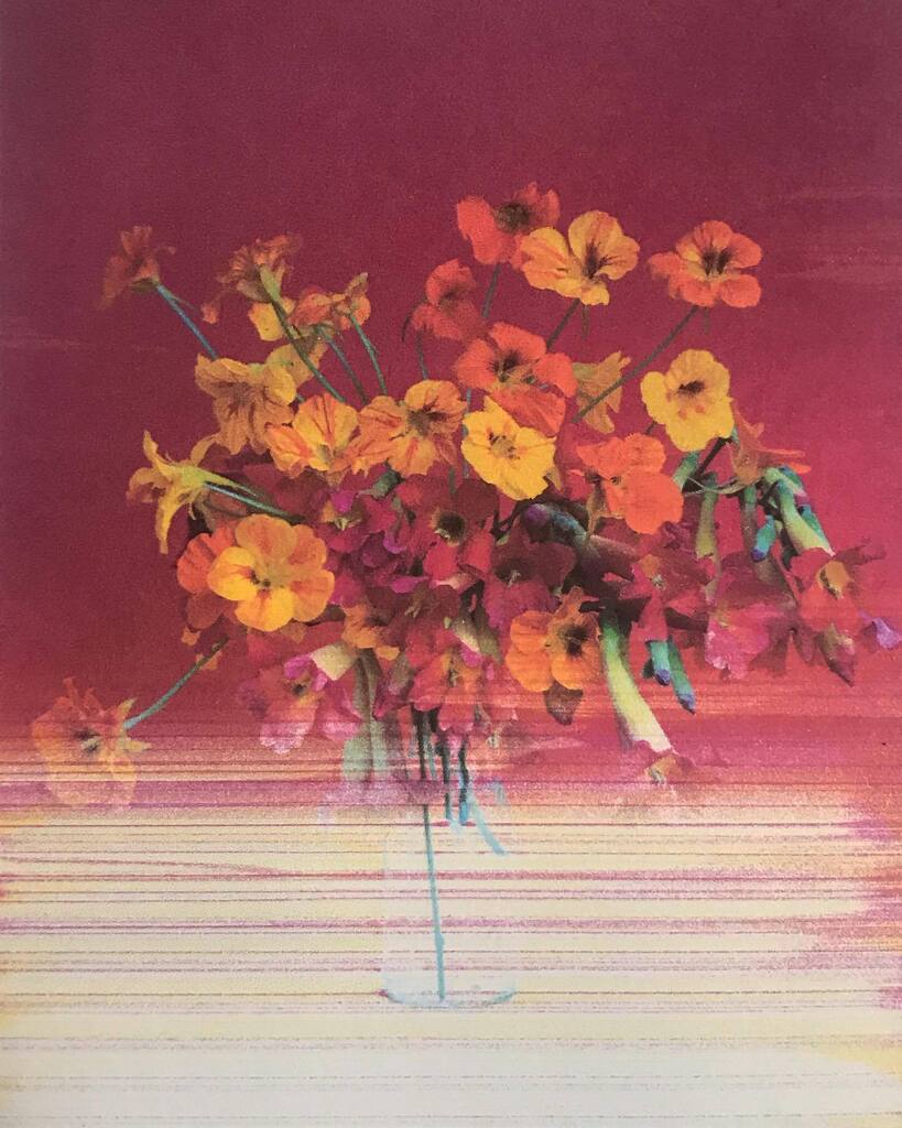 mdanielaquiros's tweet photo. bello printing error ❣️
#florist #floraldesigner #colors #sfflorist #bayareaflorist #berkeleyflorist #oaklandflorist #bayareaflorist #floristsofinstagram #stilllife #flowers #flores #fineartphotography #stolenflowersfromthestreet #lelaquiros #slowflower… https://t.co/8I0xCnGsV8 https://t.co/ePNalb8Oov