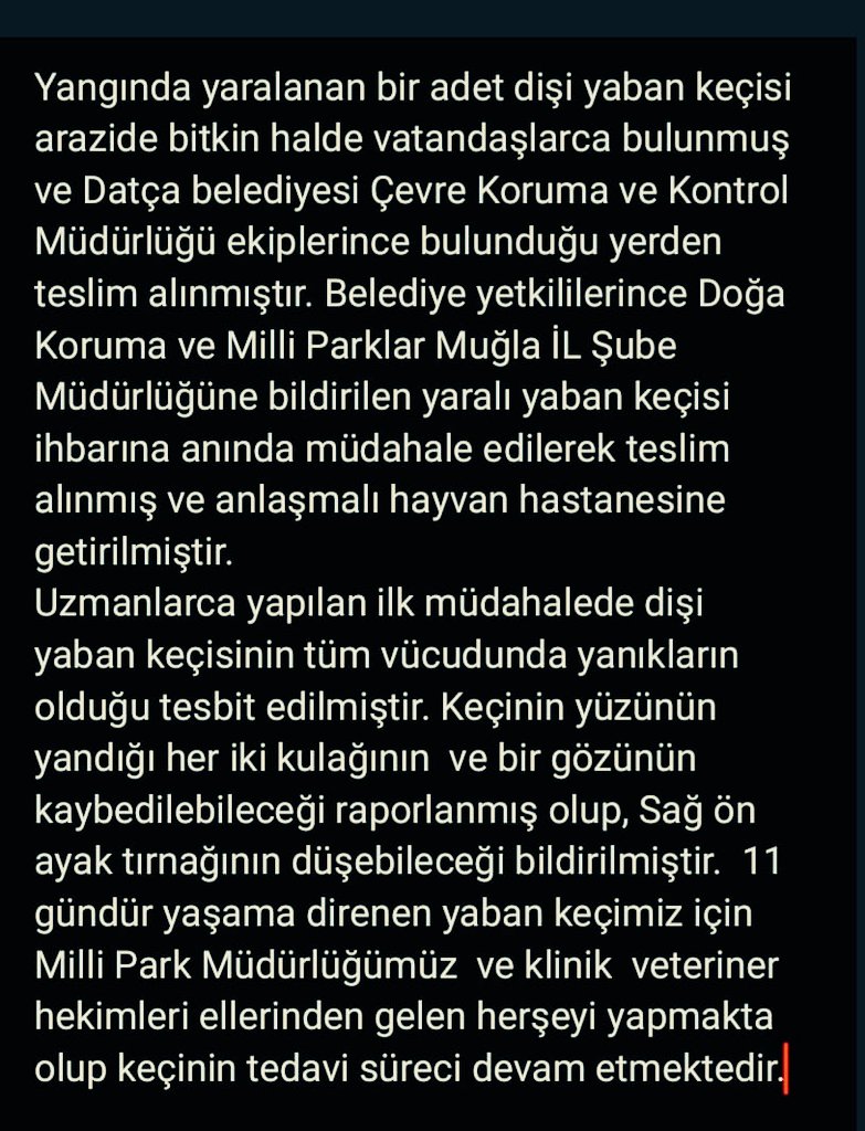 MuglaDkmp's tweet photo. #tarimorman #miliparklar #manisadkmp #datcabelediyesi https://t.co/dK6eGKO9yK