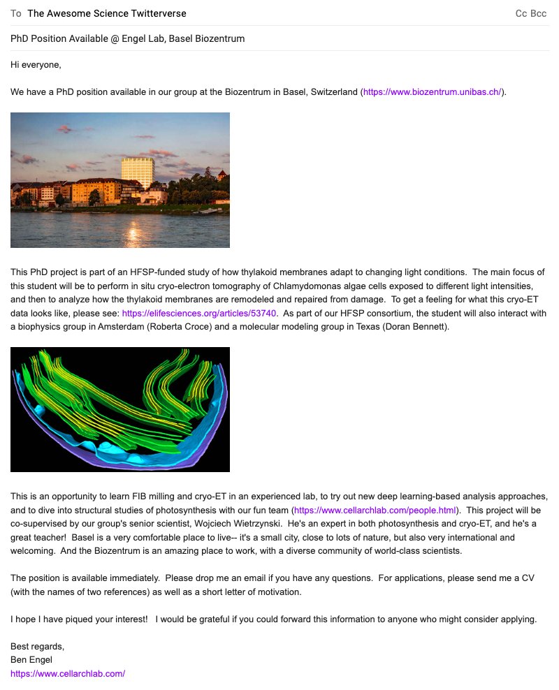 Tell your friends📣 We have an open PhD position in our lab (funded by @HFSP). This student👩‍🔬 will work with the awesome @woj_wie to study how thylakoid membranes are remodeled and repaired in response to changing light conditions☀️🌱 If you are interested, please DM or email📧
