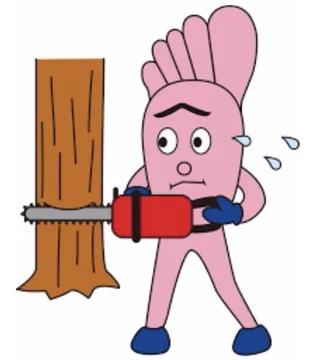画像 / Picture