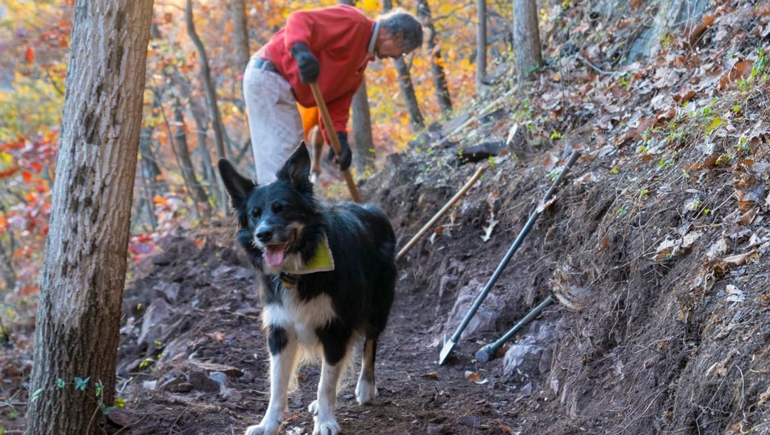 NoTubes's tweet photo. Today we're highlighting the work and people behind Berks Trail Works, a nonprofit group focused on building and maintaining trails throughout Berks County in Pennsylvania: https://t.co/2gtuO7v2k1 https://t.co/LzWpo5IqyS