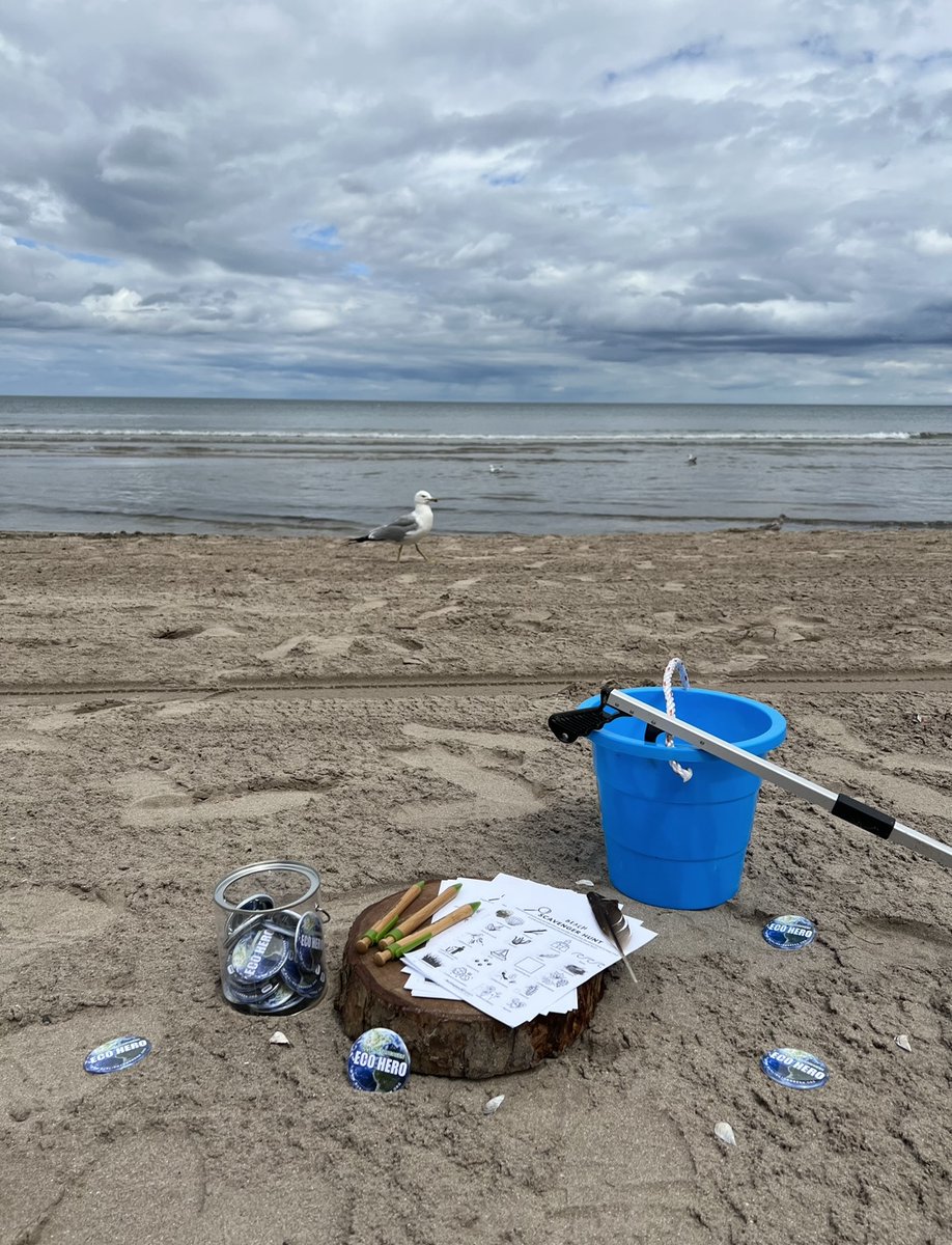 BurlingtonGreen's tweet image. Stop by our eco-hub today from 2pm-4pm to participate in some fun eco-activities, including our #BeachScavengerHunt, #LitterPickupChallenge, and native seed ball making. 
 
#FunAtTheBeach #BurlingtonBeach #BurlON #NativeSeedBalls #BeachCleanUp #BurlingtonGreen #FunInTheSun