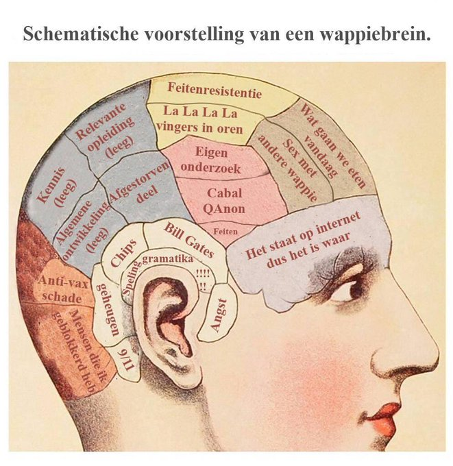 Al die anti vaxers maken zich drukker om het vaccin dan de gevaccineerde zelf. Wat een aantoonbaar gefrustreerd leven moet je dan hebben. 😂😂😂#VaccinatieSchade