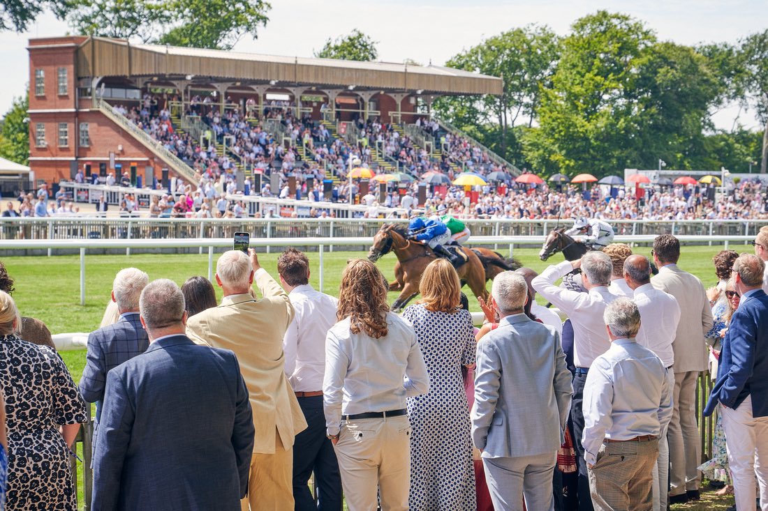 GRoederRaceday's tweet photo. Saturday was a fantastic day with over 350 guests celebrating the life of Glenn 💜

Thank you to everyone who attended and to all of our sponsors, we couldn’t have done it without you 💜

#theglennroederraceday #acurecantwait #braintumour #braincancer #accelerateacure https://t.co/1bAsCi1ZdN