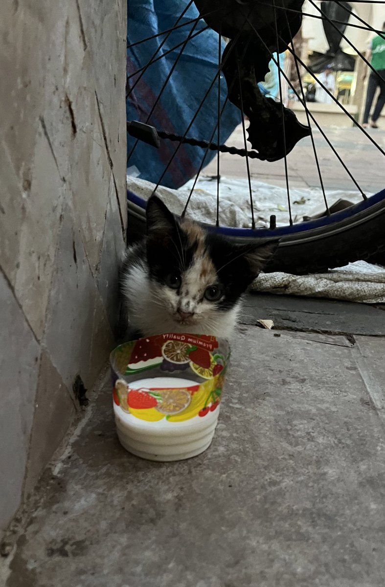 فرح (@mdfaale) on Twitter photo 