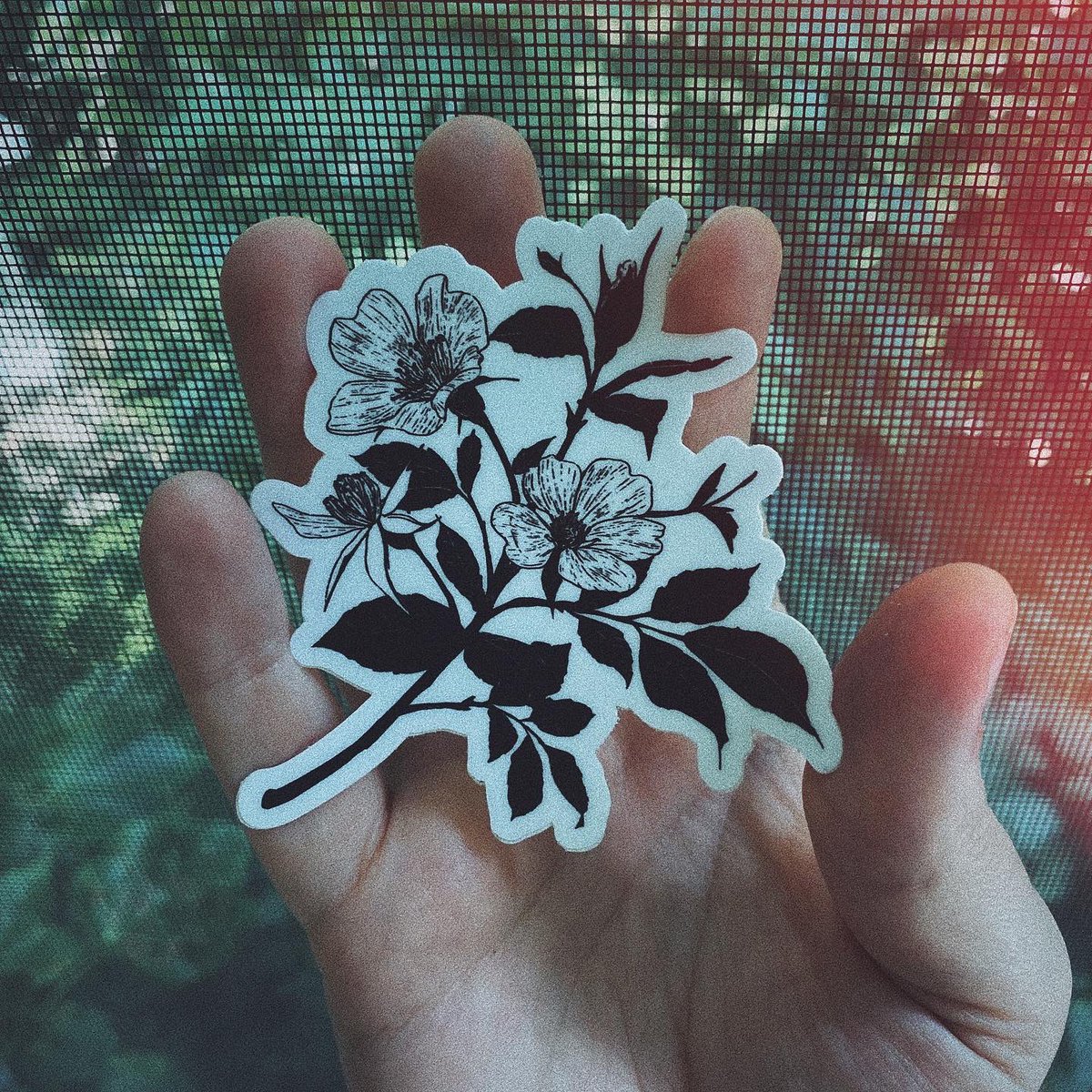 smellslikekass's tweet photo. Updated my Etsy shop, plenty of the the fundraising sticker left as well as some designs I’ve been sitting on for a while 💕💕 https://t.co/cE8ffdVXaX https://t.co/nC39IBtJT0