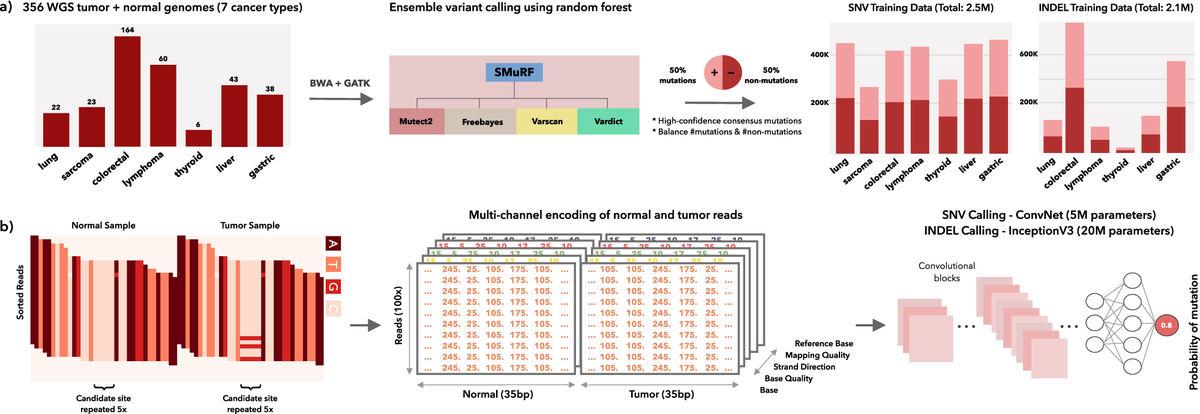 Nature Communications (@naturecomms) on Twitter photo VarNet, a weakly supervised #deeplearning model for somatic #VariantCalling in cancer that does not require human-engineered features or heuristic filters
#CancerResearch by <a href="/anders_js/">Anders J. Skanderup</a> <a href="/kiran__chari/">Kiran Chari</a> et al.
go.nature.com/3opGfDM VarNet, a weakly supervised #deeplearning model for somatic #VariantCalling in cancer that does not require human-engineered features or heuristic filters
#CancerResearch by <a href="/anders_js/">Anders J. Skanderup</a> <a href="/kiran__chari/">Kiran Chari</a> et al.
go.nature.com/3opGfDM