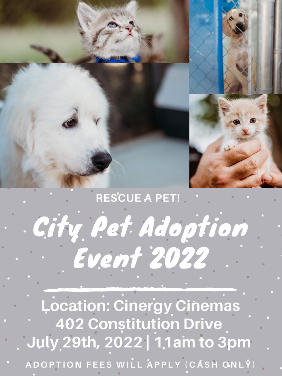 CovePolice's tweet photo. Pet Adoption Event in Copperas Cove 🐾 

 📅 July 29th | 11am-3pm
📍 Cinergy Cinemas - 402 Constitution Drive
@CityofCove Pet Adoption Fees will apply! (Cash Only) 
Rabies/Microchips/Neuter will be required per Adoption Contract. Please call (254)547-5584 w/ questions! https://t.co/G209qV4jNe