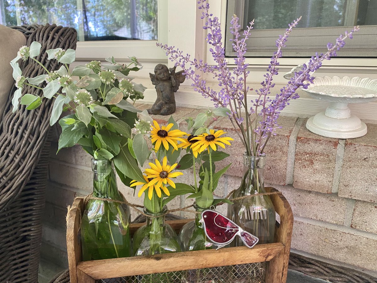 marietculver's tweet photo. Summer Porch ‘Pick of the Day’ #MountainMint #BlackEyedSusan #Liriope #homegarden https://t.co/o3Pk1RfxT4