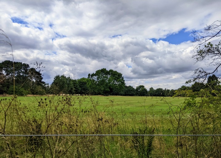clairevhill's tweet photo. My walk today & a coffee meet up with hubs and Poppy #Knowle #CoptHeath #GolfClub #Greswolde https://t.co/BfAjs9tCzB
