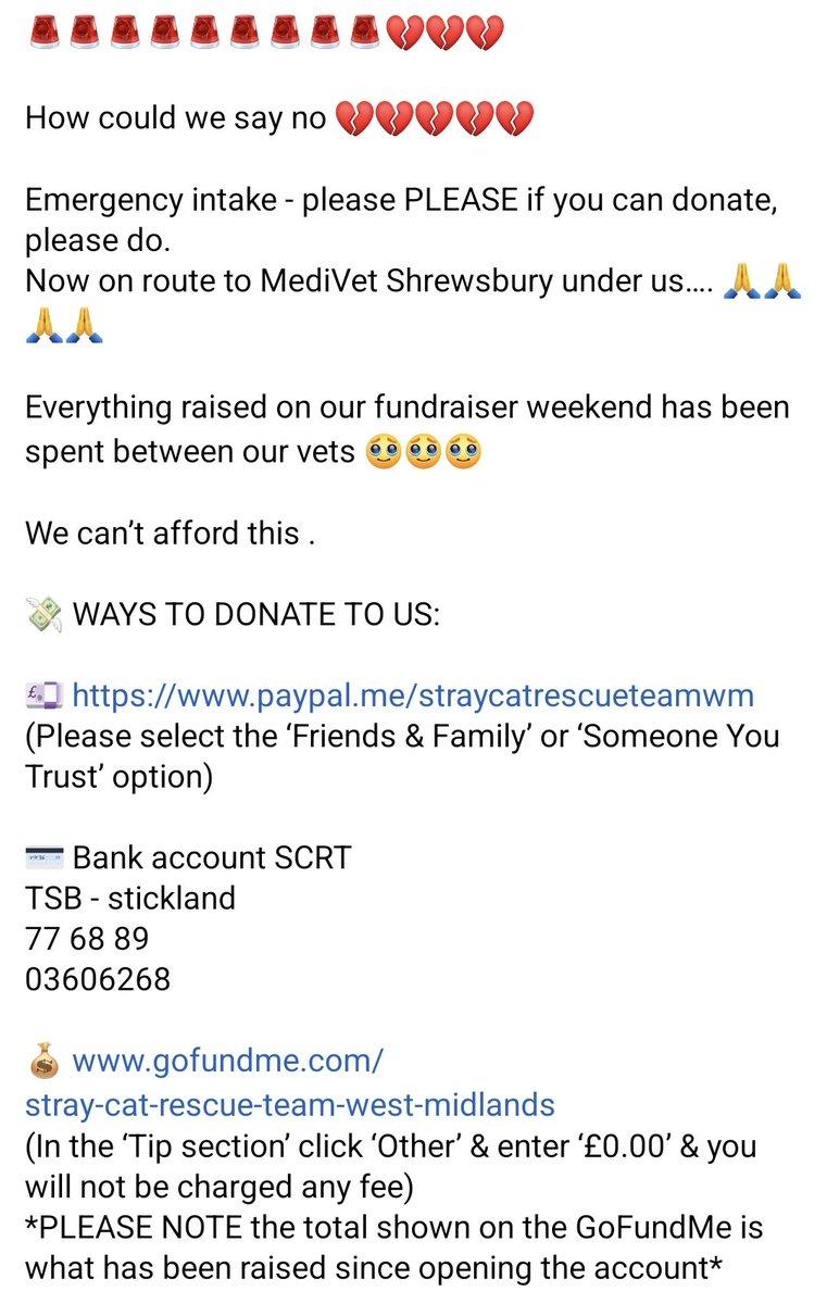 StrayCatsWM's tweet photo. 🚨How could we say no 💔
Emergency intake - PLEASE if you can donate, please do. 
Now on route to MediVet Shrewsbury under us…🙏

💸 WAYS TO DONATE TO US:

💷 https://t.co/PplpMlM35l

💳 Bank account SCRT
TSB - stickland 
77 68 89
03606268

💰 https://t.co/Unoq0Ywx6N https://t.co/sYDMENy7Zp