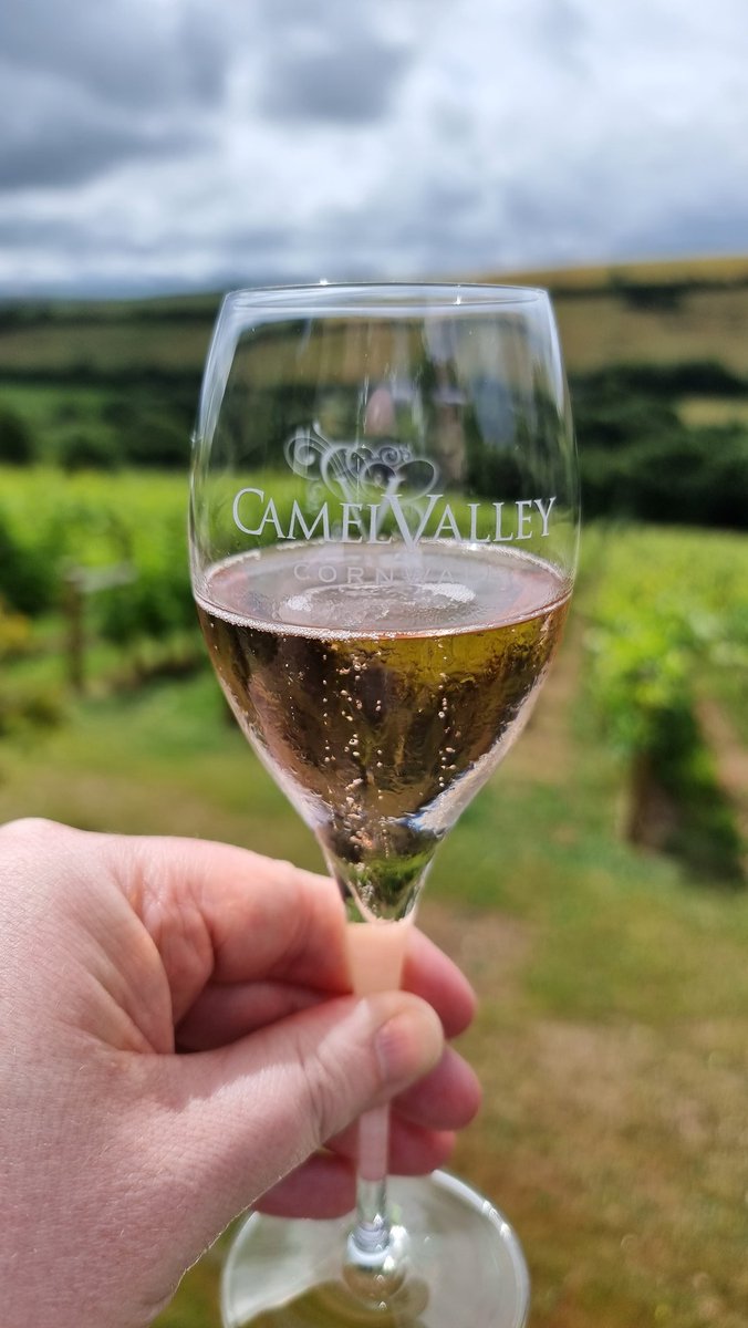 A trip to Cornwall wouldn't be complete without a visit to the wonderful Camel Valley <a href="/camelwinemaker/">Sam Lindo</a> <a href="/camelvalleybob/">Bob Lindo</a>.
I had a fab tour of the winery this morning with Duncan, and then enjoyed sampling the delicious Sparkling Wines whilst overlooking Annie's vineyard. 🤩🍾🥂