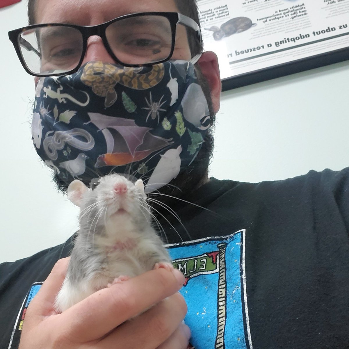 ZakariyaAliSher's tweet photo. Took my little girl to the #vet for a check-up! She got a clean bill of health! Gonna have to get her some treats when we get home! ❤️🐭
#rats #animals #pets #rodents #cute #smallanimals #pocketpets #fancyrats #bluerats #RattusNorvegicus #ratties #ratsandmice #ratsoftwitter🐭 https://t.co/EXWu2XB0WQ