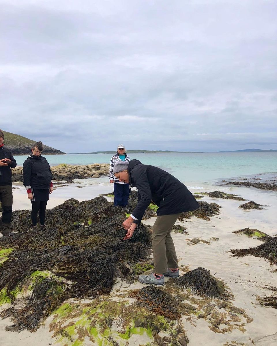 mapping_ocean's tweet photo. Thank you to everyone who came along to the guided foraging walk and ecosystem collage workshop at @THETEMPLEHARRIS this weekend, led by @AislinnBorland @gregmacmillan99 and foragers from Temple, and thanks to those who came along to the Climate Fresk hosted by @CleanCoastOH: https://t.co/juhuyttjXb