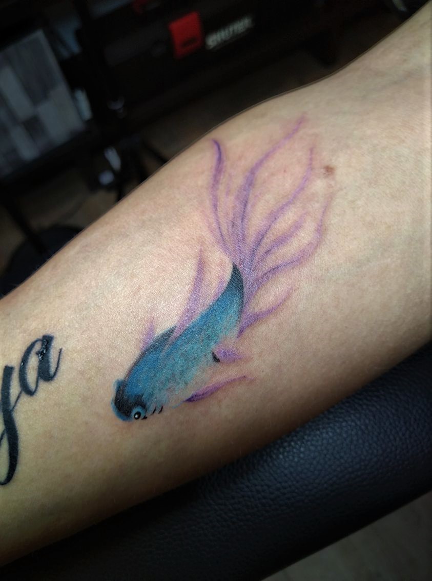 鬥魚刺青 Twitter Search Twitter